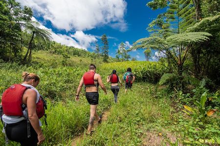 Hike El Yunque Rainforest and Kayak Bio Bay Combo Tour