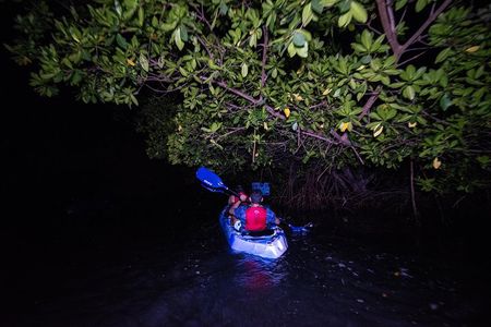 Bioluminescent Bay Kayak Adventure from San Juan