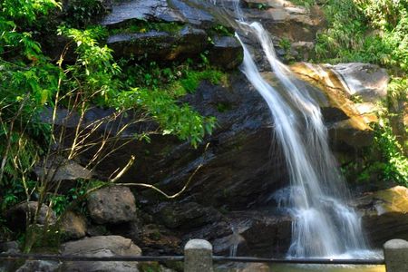 Christ and Tijuca Forest Tour - by Alan Denis
