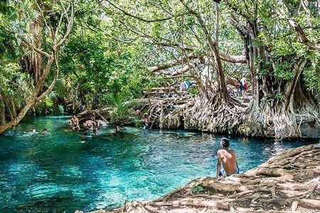 Kikuletwa Hotsprings/ Maji moto Day Trip