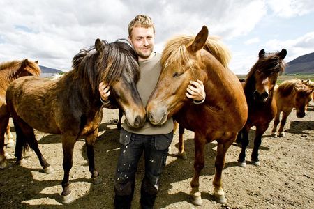 Icelandic Horseback Riding Tour Including Pick Up from Reykjavik