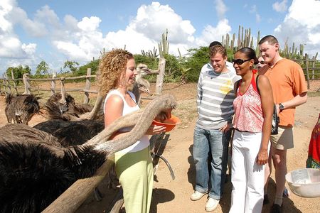 Aruba Ostrich Farm Tour with Lunch