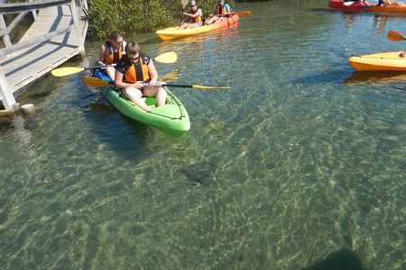 Batemans Bay Glass-Bottom Kayak Tour Over 2 Relaxing Hours