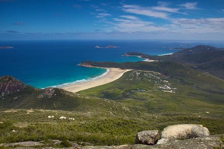 Wilson's Promontory & Phillip Island - 'Prom & Penguins' Tour