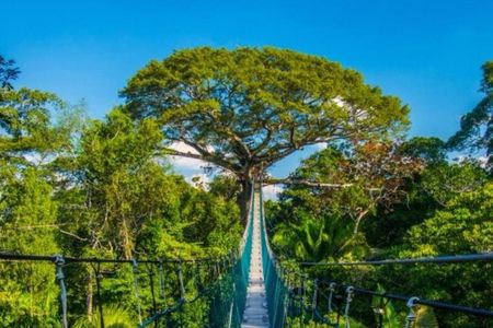 4 Day Tambopata & Puerto Maldonado Tour – Explore the Amazon