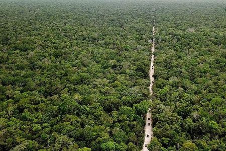 Off Road ATV Tour at the Akumal Monkey Rescued Animals Sanctuary