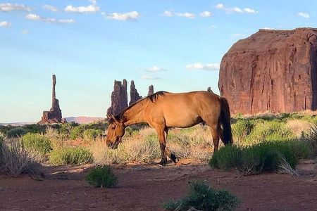 Monument Valley Group Tour - 3 Hours - Navajo Spirit Tours