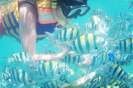Snorkeling Tour In Gili Nanggu