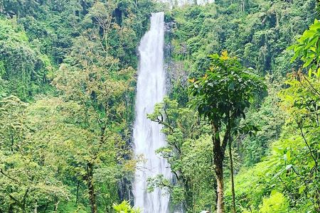 Materuni waterfalls and coffee Tour 