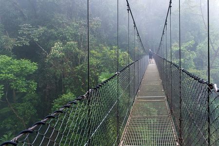 Mistico Hanging Bridges Guided Tour (AM/PM) with Transportation