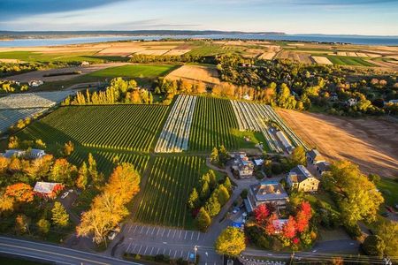 Valley Wine Tour. You will buy your own wine and meals.