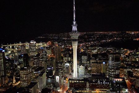 Discover Auckland City Half-Day Tour