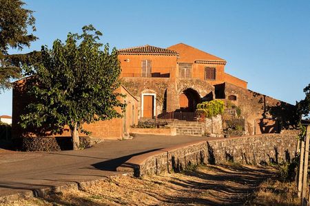 Etna DOC & Organic Wine tasting and tour of the 1815 historic winery