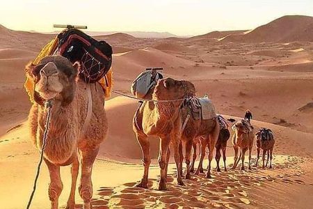 6 DaysTour Fes Desert Ait BenHaddou Marrakech private van 7 seats