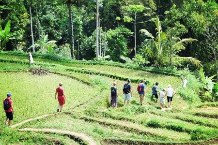 Tetebatu Walking Tour - Rice Terraces, Waterfall & Monkey Forest