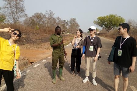 Day Trip from tamale-Mole National