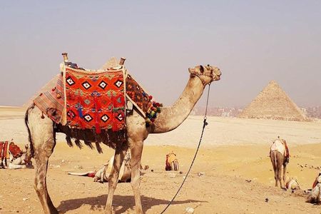 Guided Half-Day Trip to Giza Pyramids with Camel-Riding