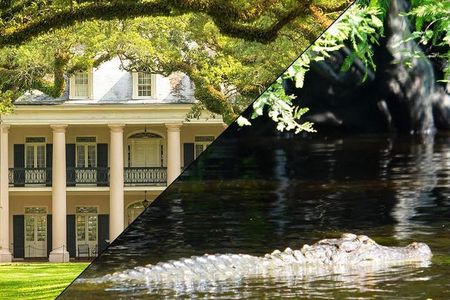 Oak Alley Plantation and Swamp Boat Tour from New Orleans