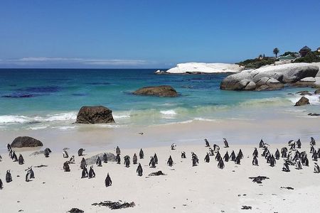 Cape Peninsula Day Tour