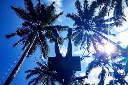 Ubud Private Tour – Best Full-Day All-Inclusive Package