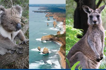 Great Ocean Road Ultimate Two Day Tour