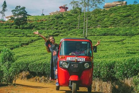 Exclusive: Tea Gardens and Waterfalls of Nuwara Eliya by Tuk-Tuk