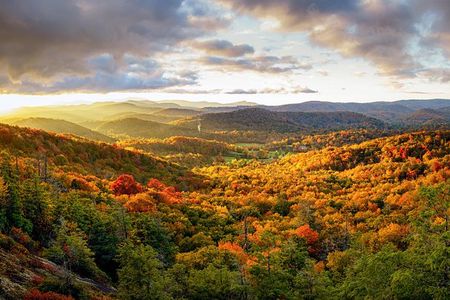 Private Waterfall and Blue Ridge Parkway Tour with a Naturalist 