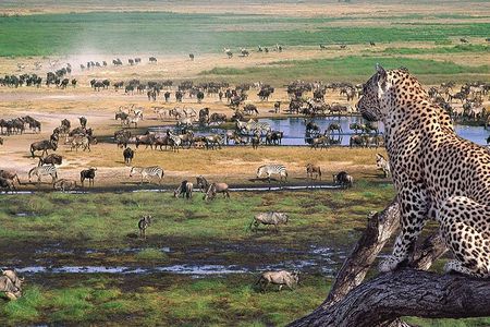 4 Day Private Camping Safari in Serengeti,Ngorongoro and Tarangire National Park