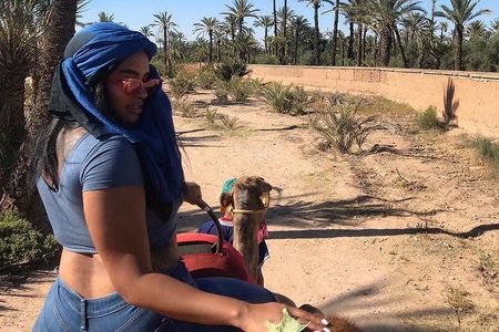 Marrakech Luxery sunset Camel Ride