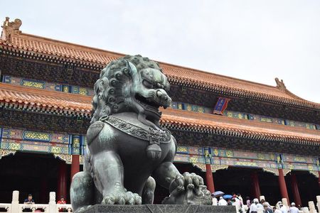 Forbidden City Ticket and Private Tour 