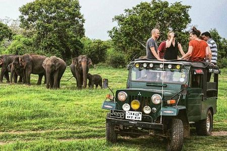 Wildlife and Nature Tour (18 Days , 17 Nights)