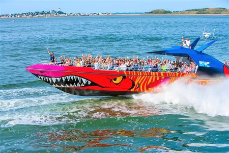 Boston Codzilla High-Speed Thrill Boat Ride