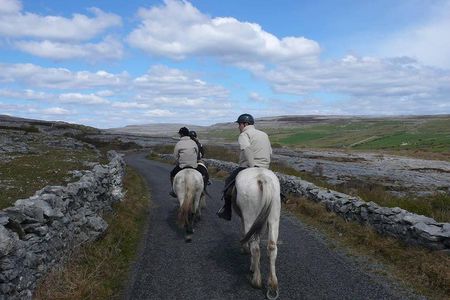 Horse riding - Burren Trail. Lisdoonvarna, Co Clare. Guided. 3 hours.