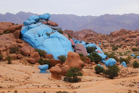 From Agadir goats to the tree tour (land & people)