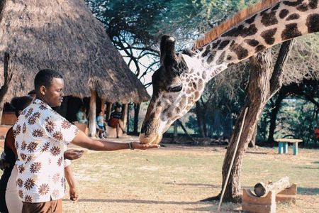 7 Days Kenya Luxury Safaris - Masai Mara NR, Amboseli NP and Lake Nakuru NP