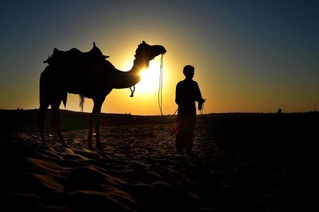 Camel Ride & Barbeque Dinner at the Pyramids