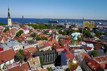 Group walking tour in Tallinn Old Town
