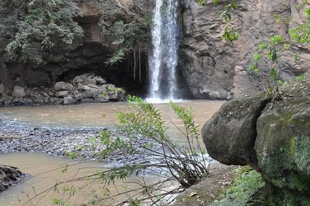 Lake Nakuru Daytrip using Safari Landcruiser