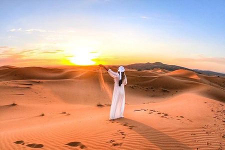 Sahara Adventure