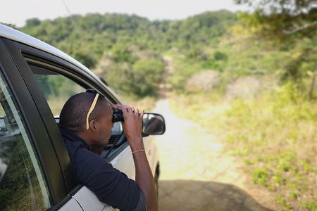 Addo Elephant Park multi-day Photo Safari