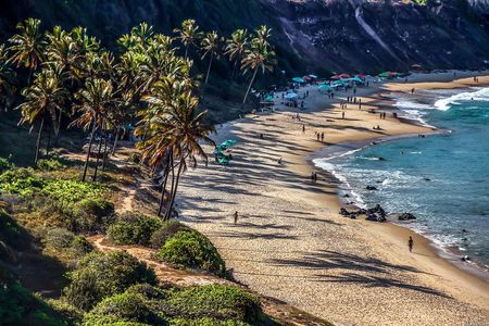 Sun and Fun at Pipa Beach: Day Tour from Natal
