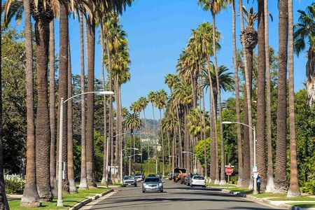 Private 4-Hour Limo Tour of LA by a TV Personality with Drinks