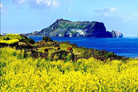 Full Day Jeju Private Customizable highlight Tour 
