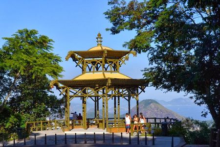 Tour 7 ( 4 hours ) : Tijuca National Park and Favela