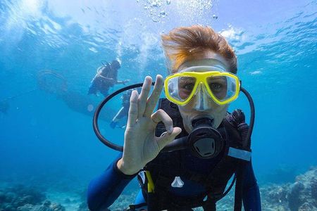 Scuba Diving at Catalina Island - 2 tank - for Certified Divers