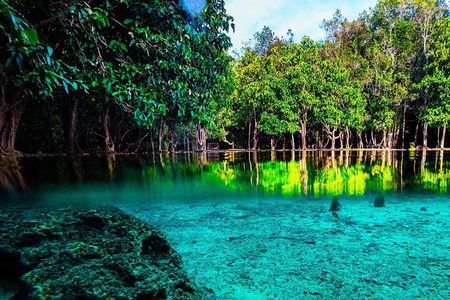 Krabi Jungle Tour with ATV Riding