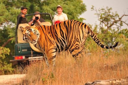 8 Days Golden Triangle with Ranthambore & Udaipur Tour