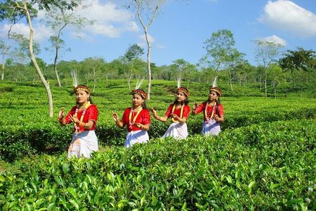 Private Tour: 5 Days - Bangladesh Nature & Culture Tour - North-eastern part