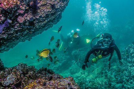 Scuba Diving with a 5-Star PADI Center in Puerto Vallarta