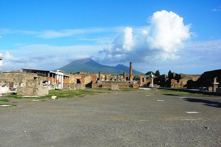 Pompeii: living with the volcano